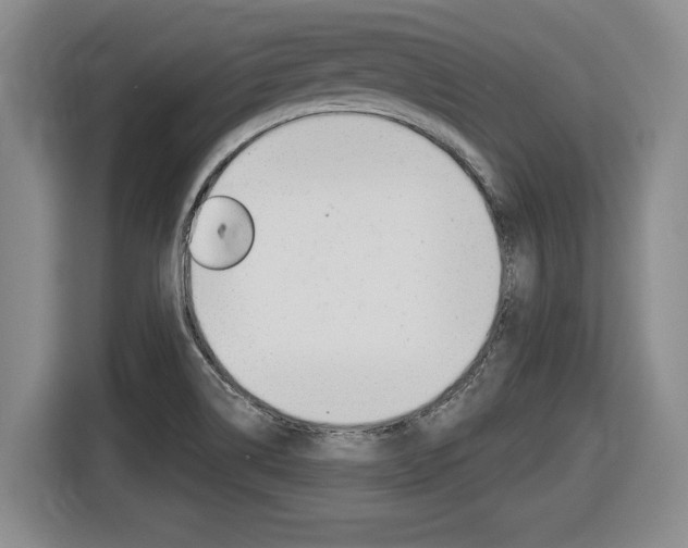 X0000116591514200912101320