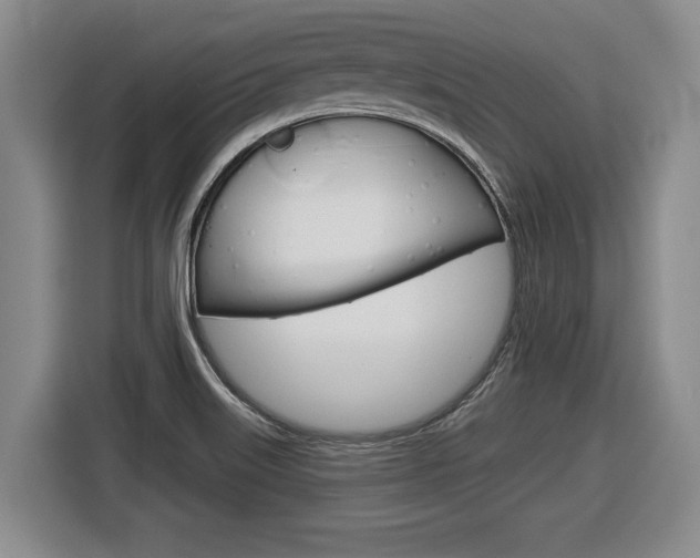 X0000116591515200912101320