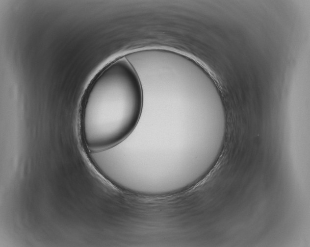X0000116591518200912101320