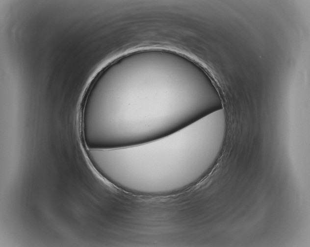 X0000116591519200912101320