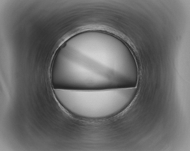 X0000116591521200912101320