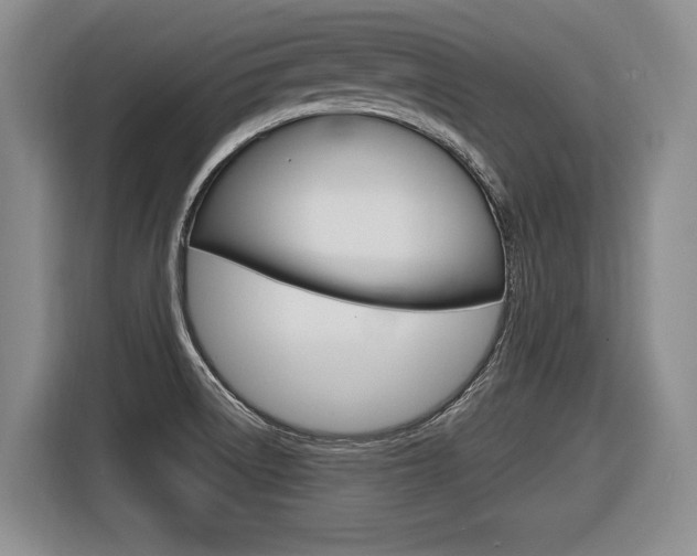 X0000116591522200912101321