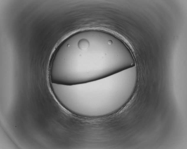 X0000116591525200912101321