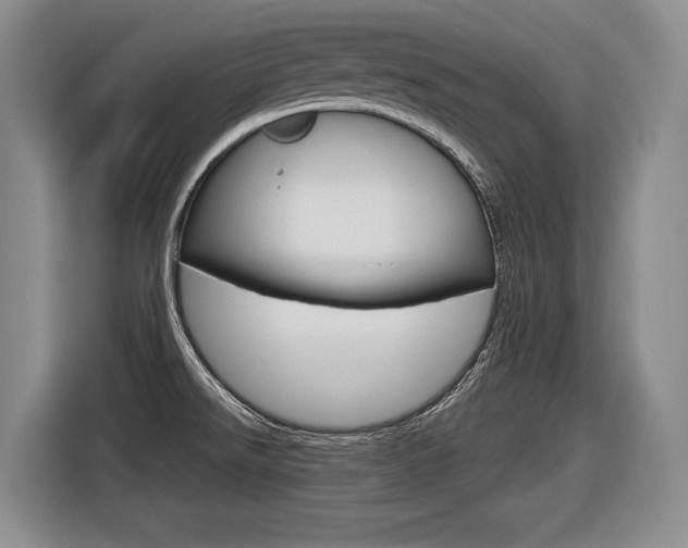 X0000116591526200912101321