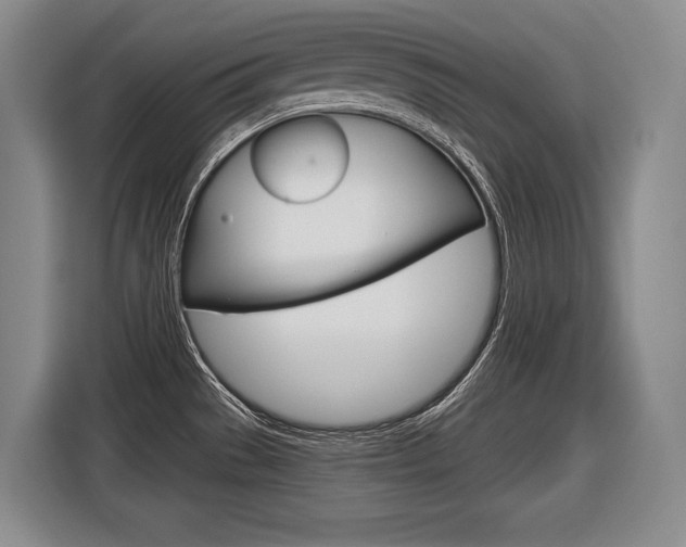 X0000116591529200912101321