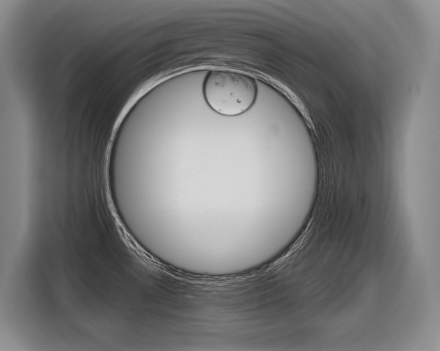 X0000116591530200912101321