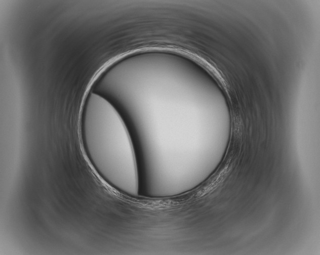 X0000116591533200912101321