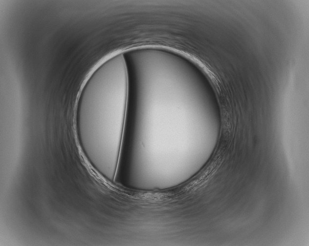 X0000116591534200912101321