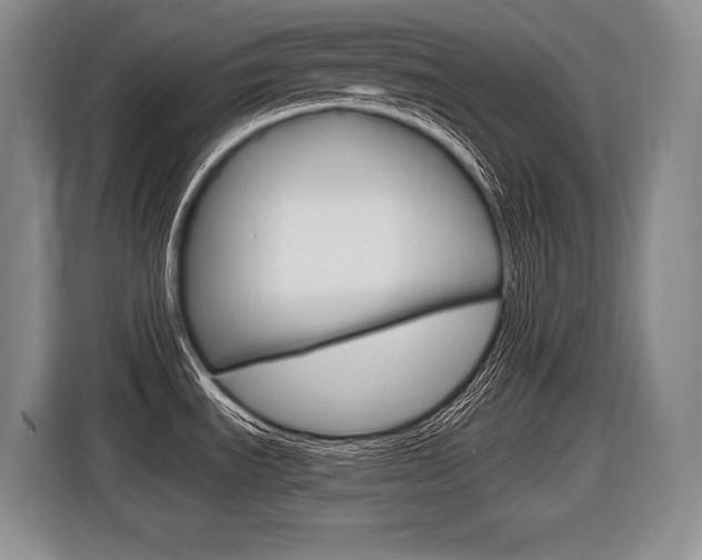 X0000116591535200912101321