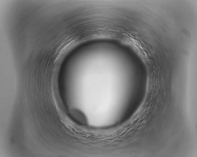 X0000116590001200912101549