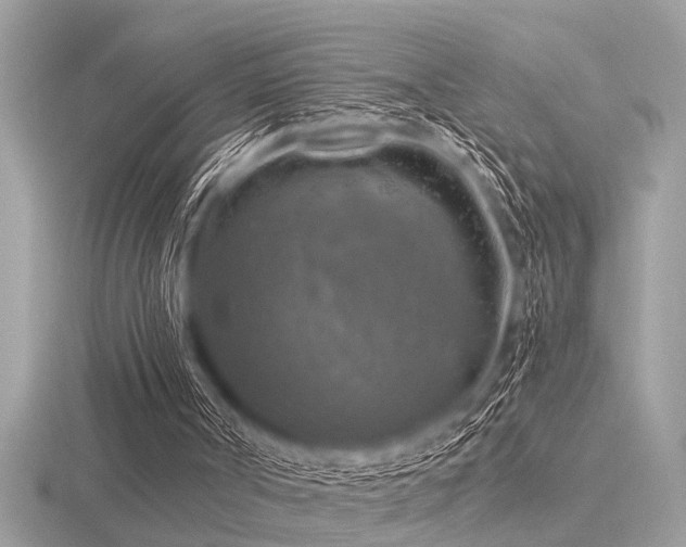 X0000116590002200912101549