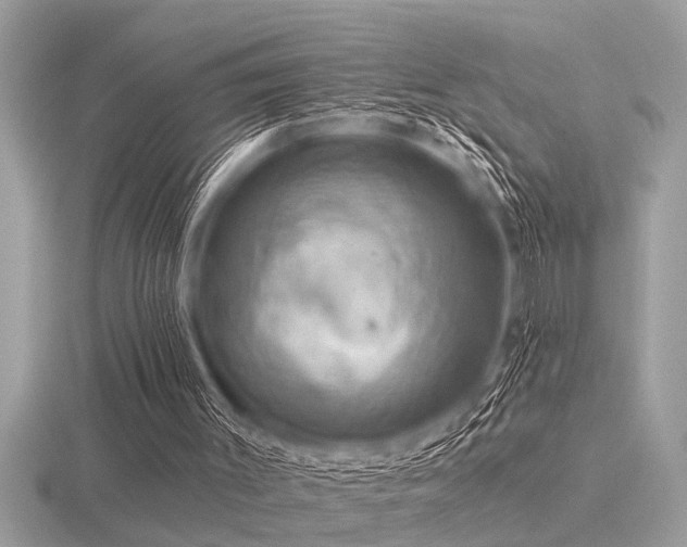 X0000116590003200912101549