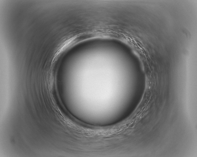 X0000116590005200912101549