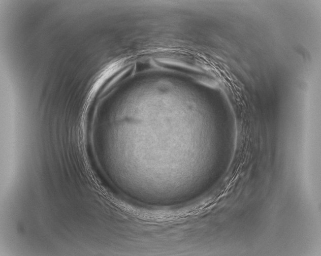 X0000116590006200912101549