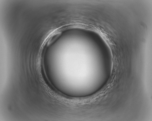 X0000116590007200912101549