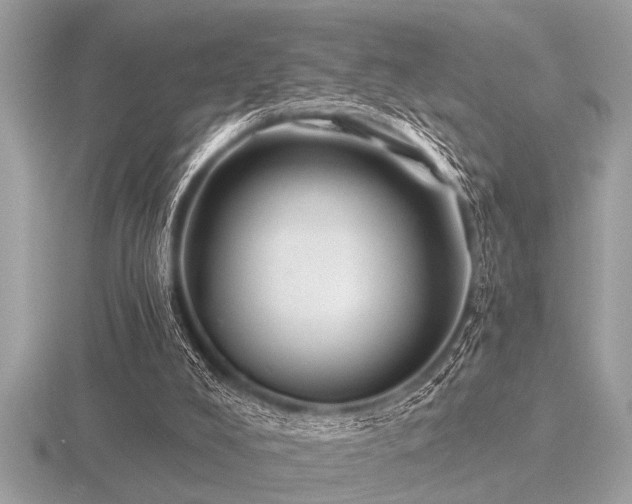 X0000116590008200912101549