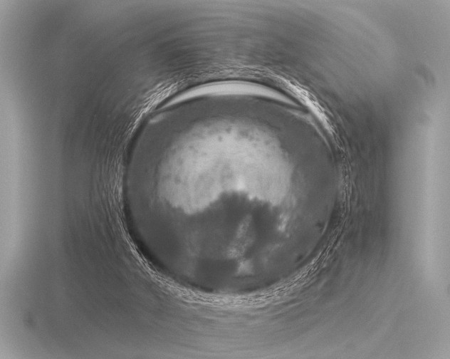 X0000116590010200912101549