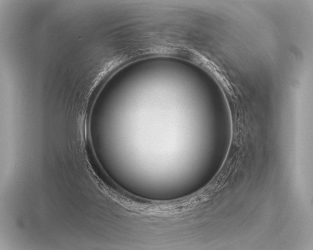 X0000116590011200912101549