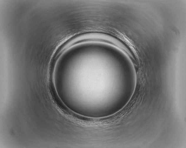 X0000116590012200912101549