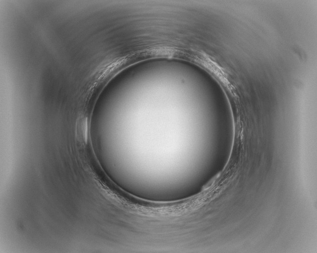 X0000116590013200912101549