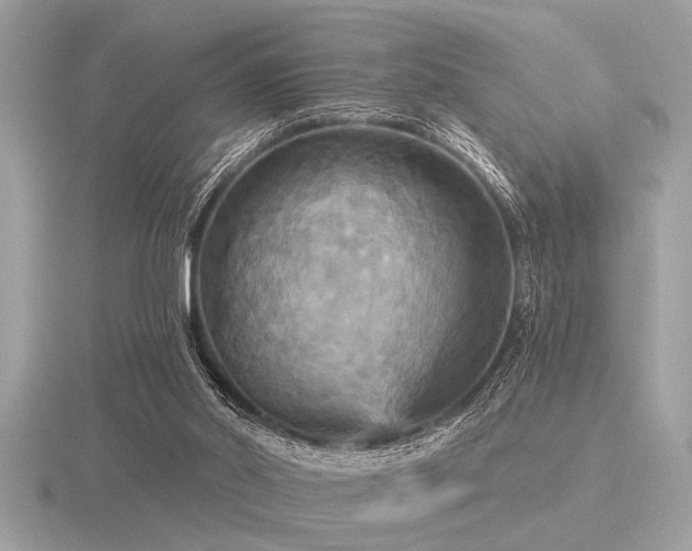 X0000116590014200912101549