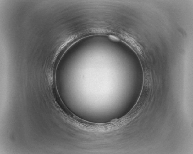 X0000116590015200912101549