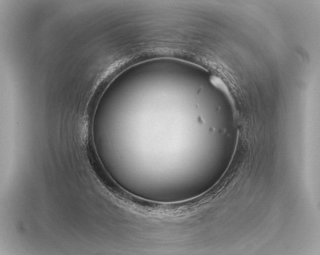 X0000116590016200912101549