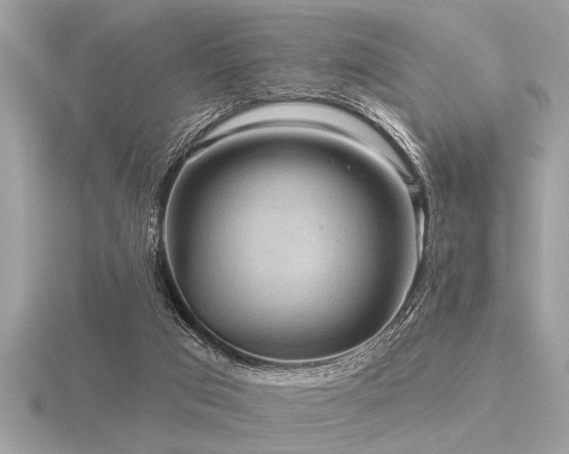 X0000116590017200912101549