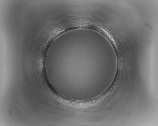 X0000116590018200912101549