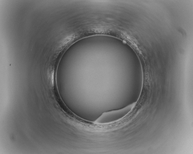 X0000116590019200912101549