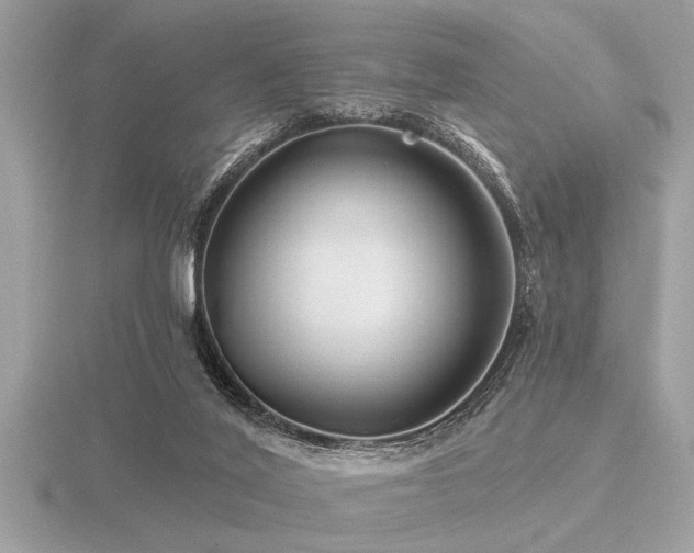 X0000116590020200912101549