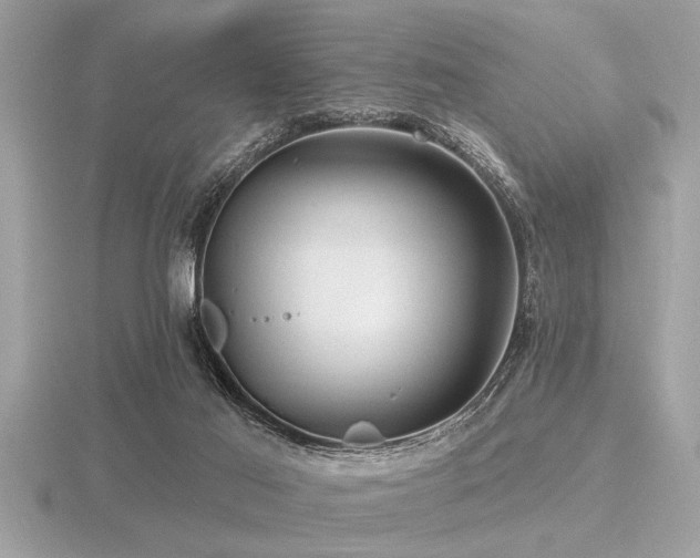 X0000116590021200912101549