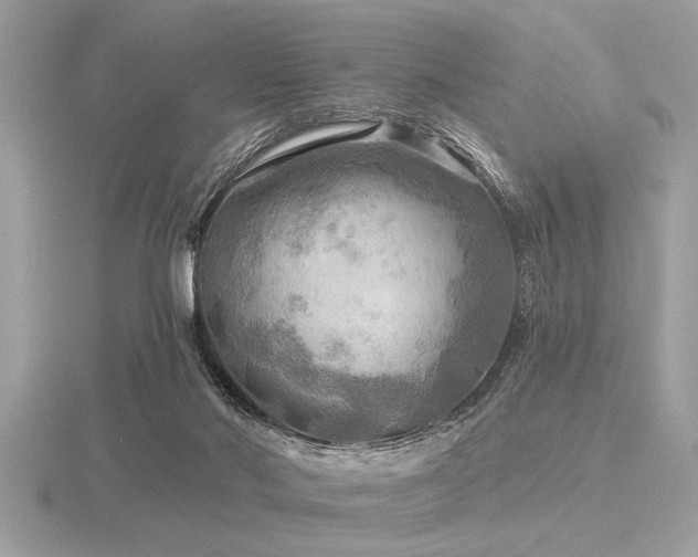 X0000116590022200912101549