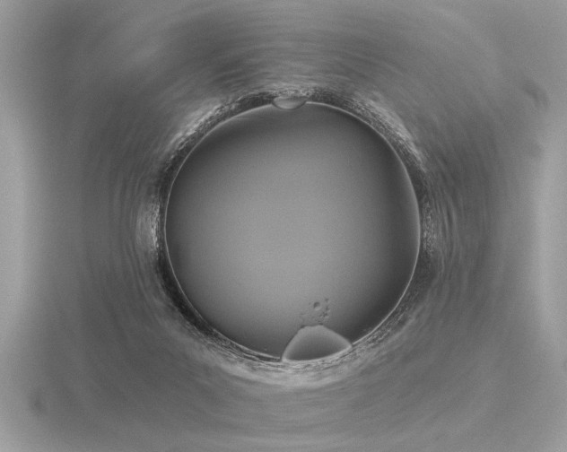 X0000116590023200912101549