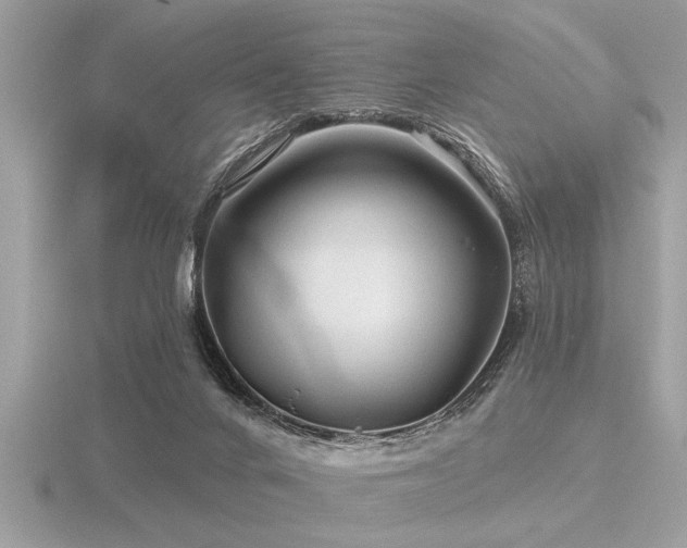 X0000116590024200912101549