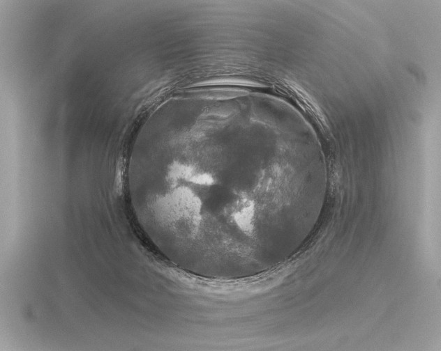 X0000116590026200912101549