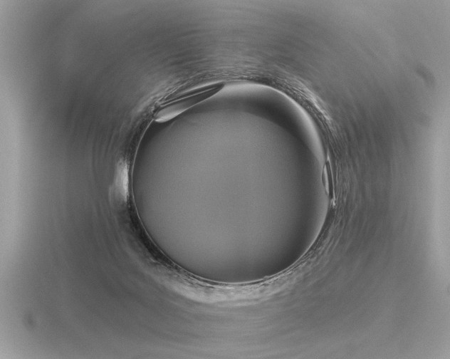 X0000116590027200912101548