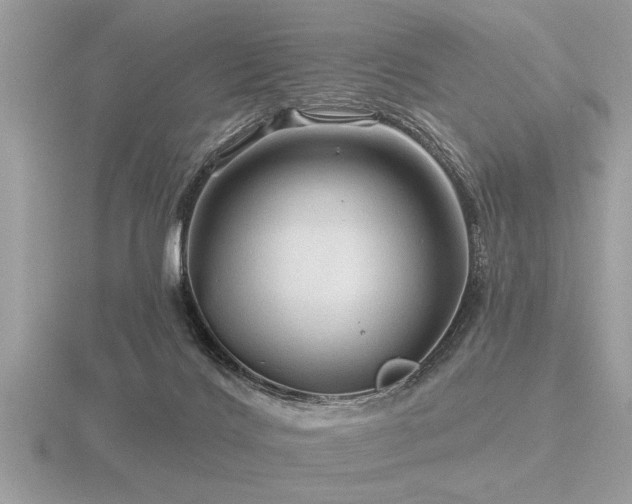 X0000116590028200912101548