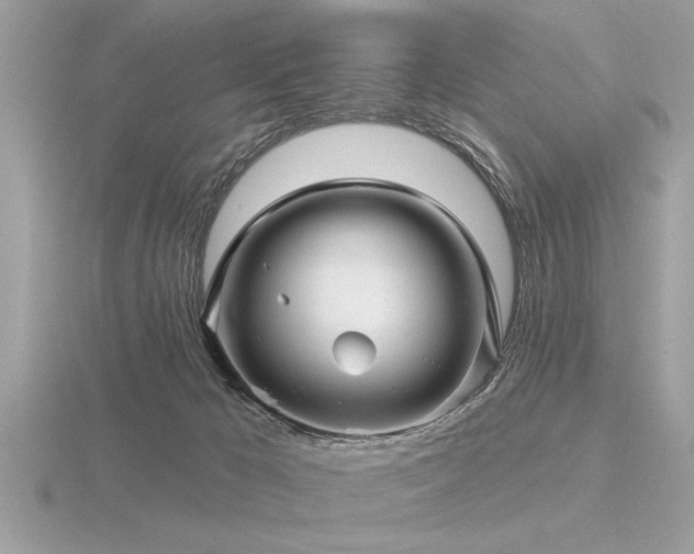 X0000116590029200912101548