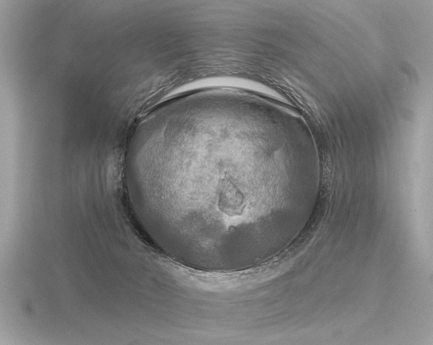 X0000116590030200912101548