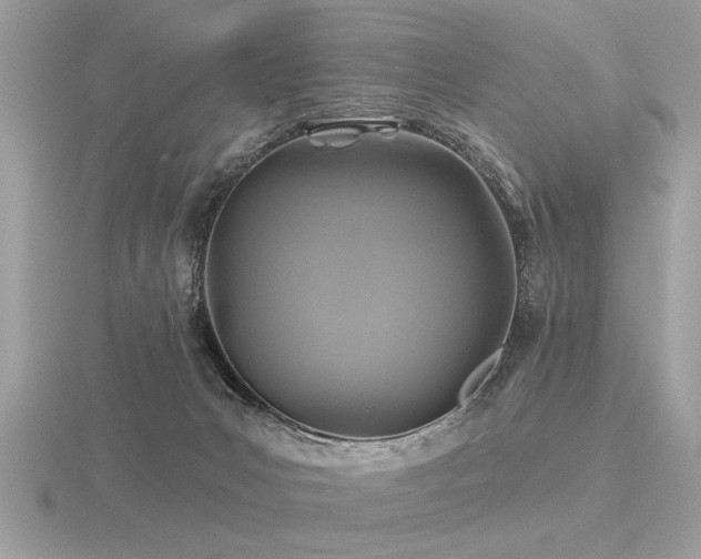 X0000116590031200912101548