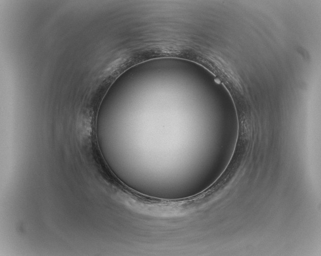 X0000116590032200912101548