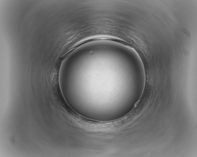 X0000116590036200912101548