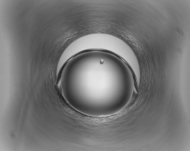 X0000116590037200912101548