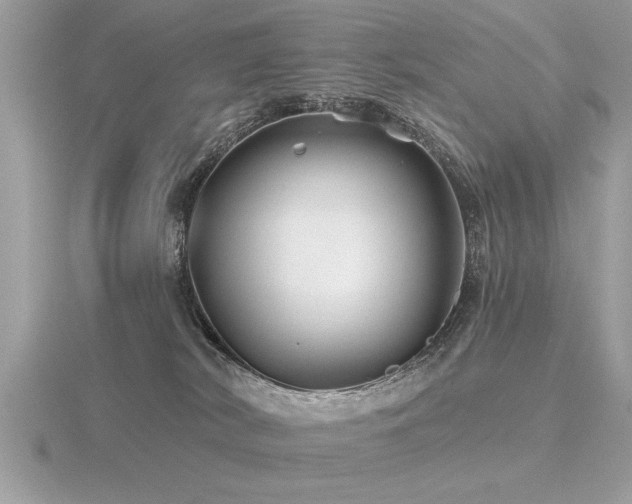 X0000116590038200912101548