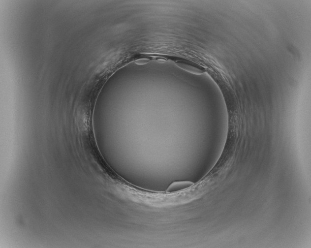 X0000116590039200912101548