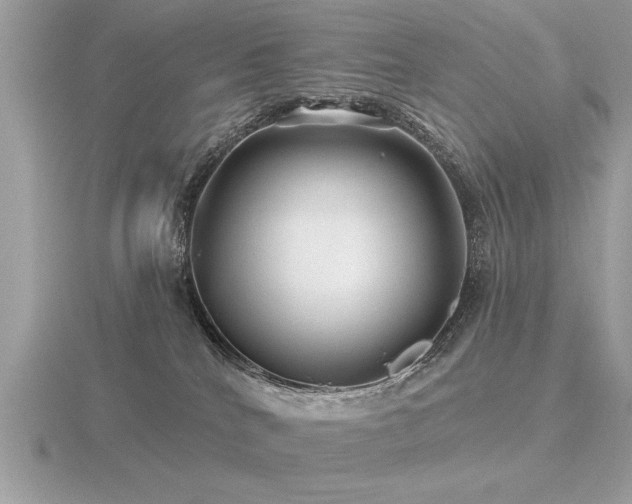 X0000116590040200912101548