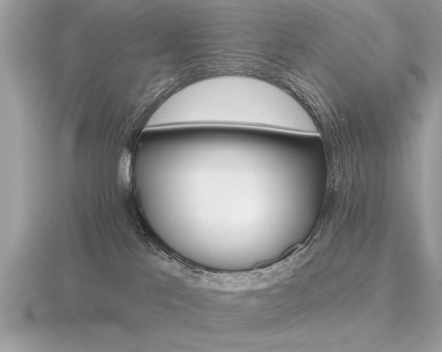 X0000116590041200912101548