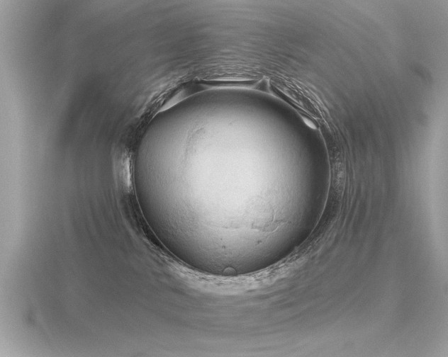 X0000116590042200912101548