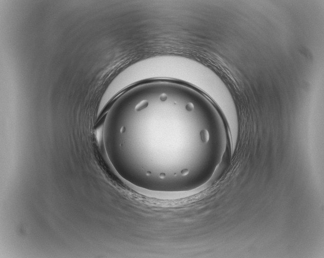 X0000116590043200912101548